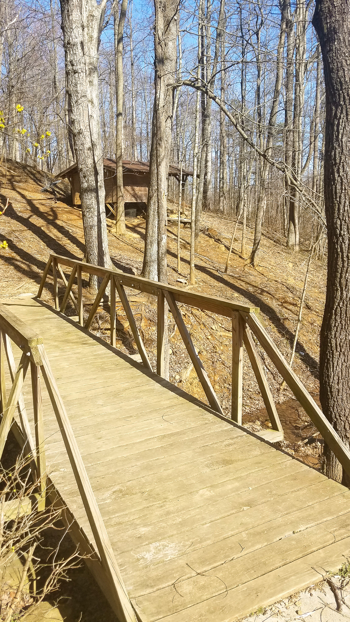 Wooden walkway with railings leading uphill through a forest of tall, leafless trees at the home of Sponsored Residential Provider Sharon Litchford in Monroe, Virginia.