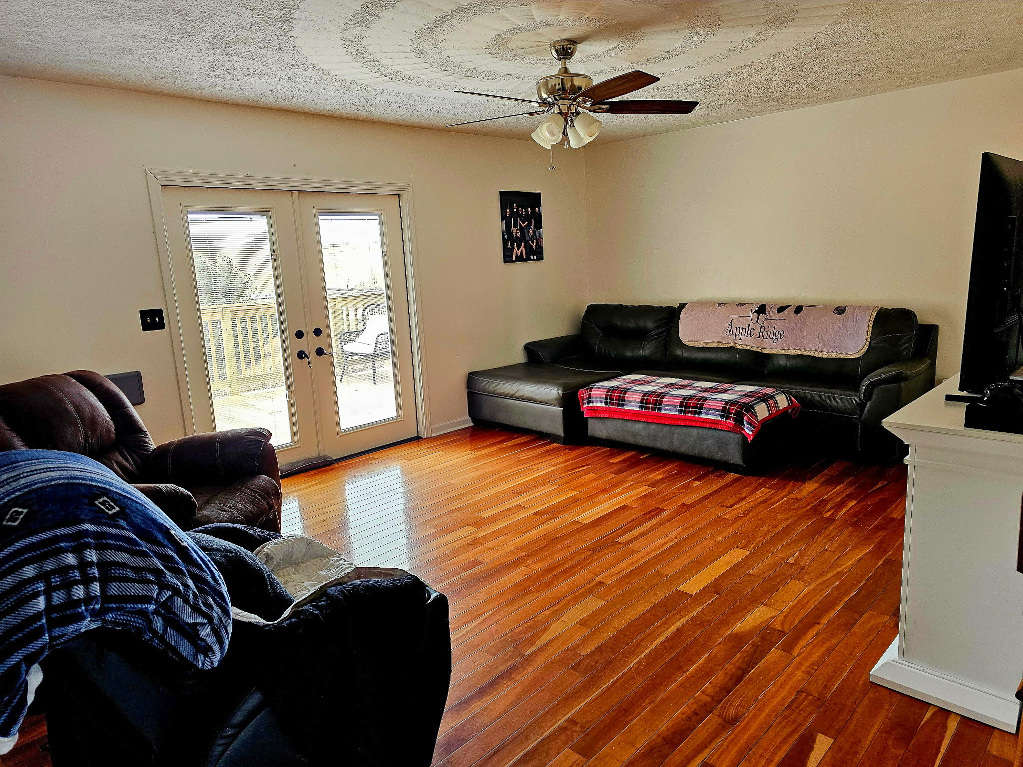 A bright living room with wood floors, a dark sectional sofa with a blanket, a recliner, French doors leading outside, and a TV on a white console beneath a ceiling fan inside the home of Group Home Provider Dylan Mays in Woodlawn, Virginia.