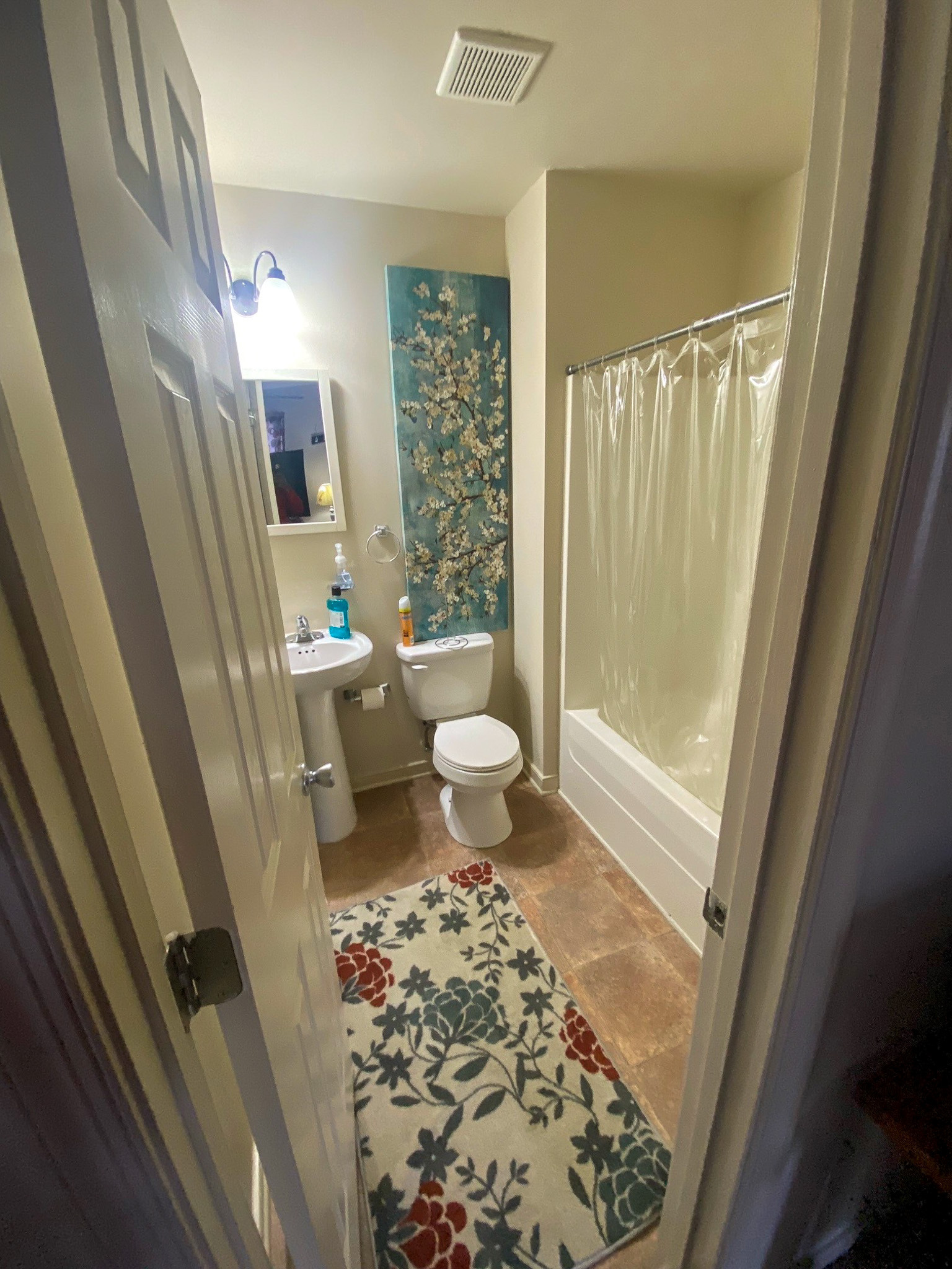 Xaiver Heath and David Williams Bathroom 2