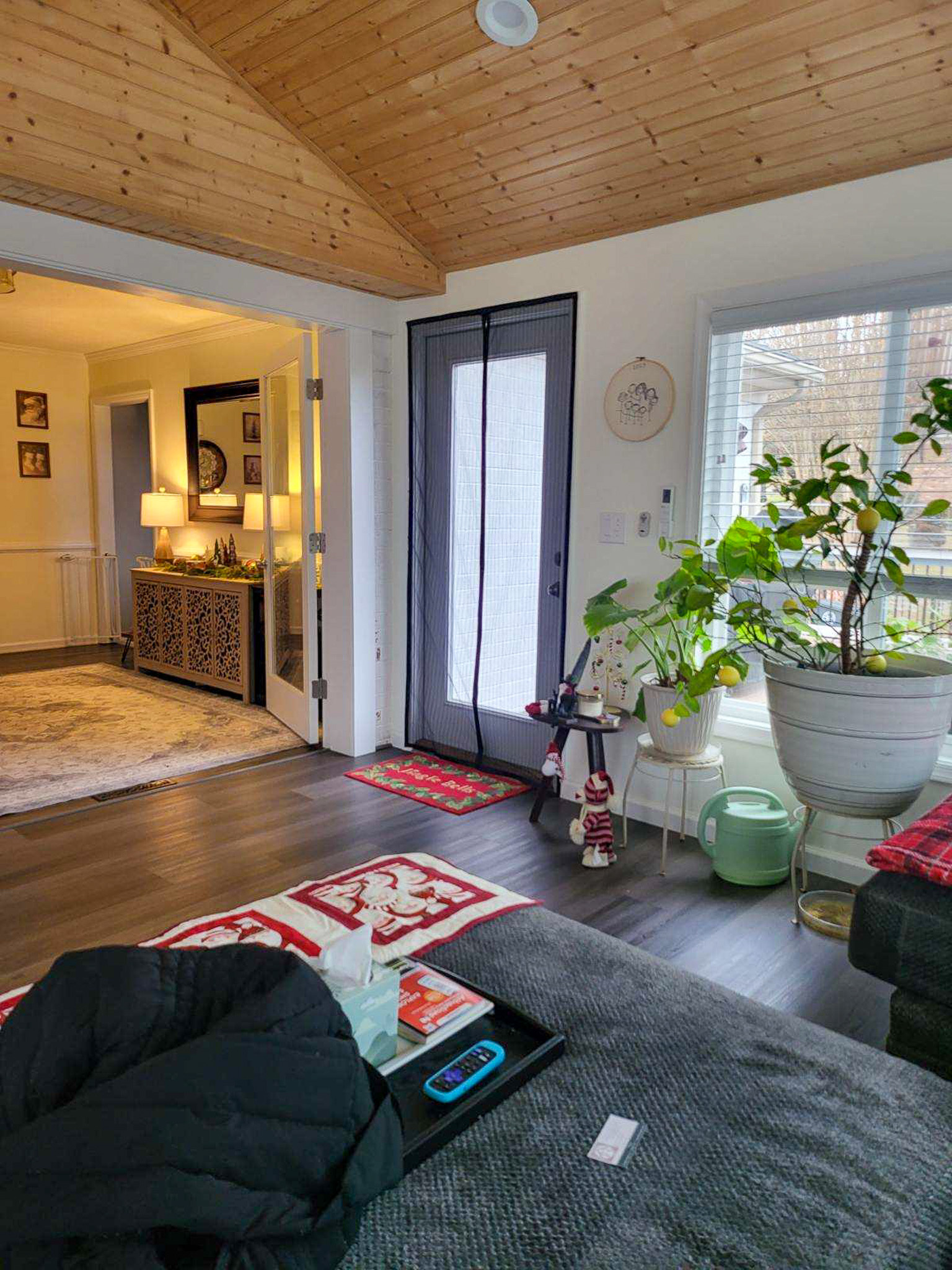 A cozy living room with dark floors, large plants, and a view into a warmly lit adjoining hallway inside the home of Sponsored Residential Providers Scott and Tedra Flanders in Lynchburg, Virginia.