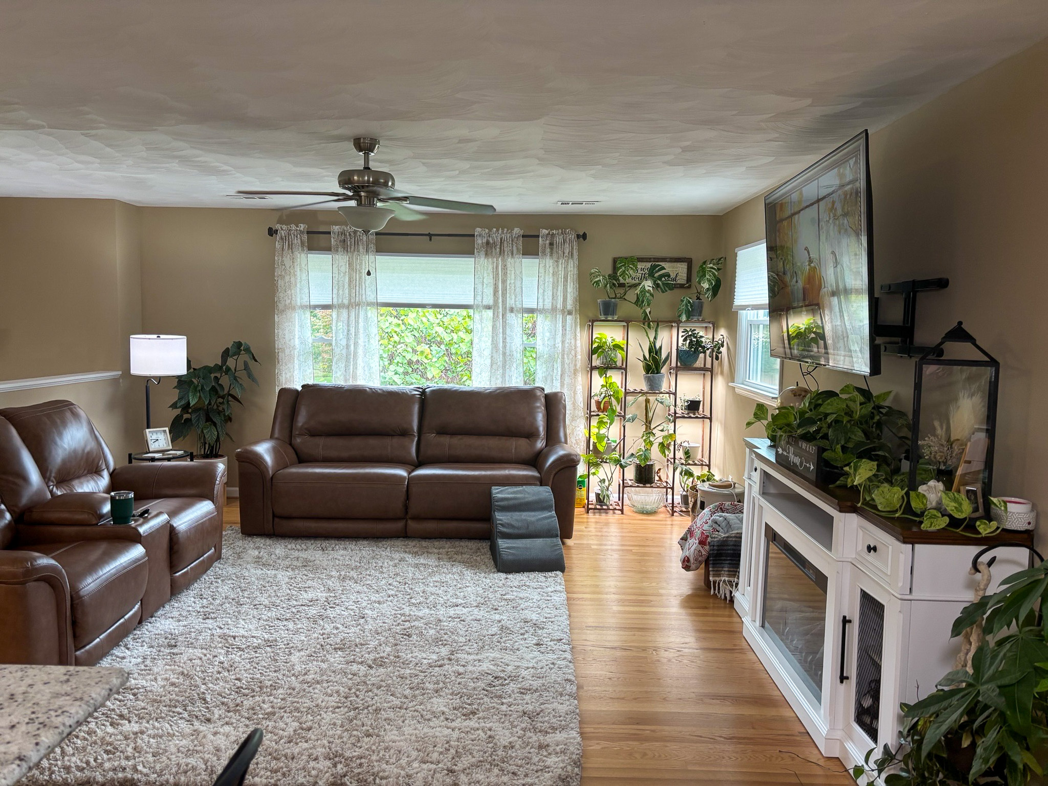 A living room with brown leather seating, a large window with sheer curtains, a white fireplace TV stand, and multiple plant-filled shelves inside the home of Sponsored Residential Providers Hadassah Hawks and Antonio Hernandez in Salem, Virginia.