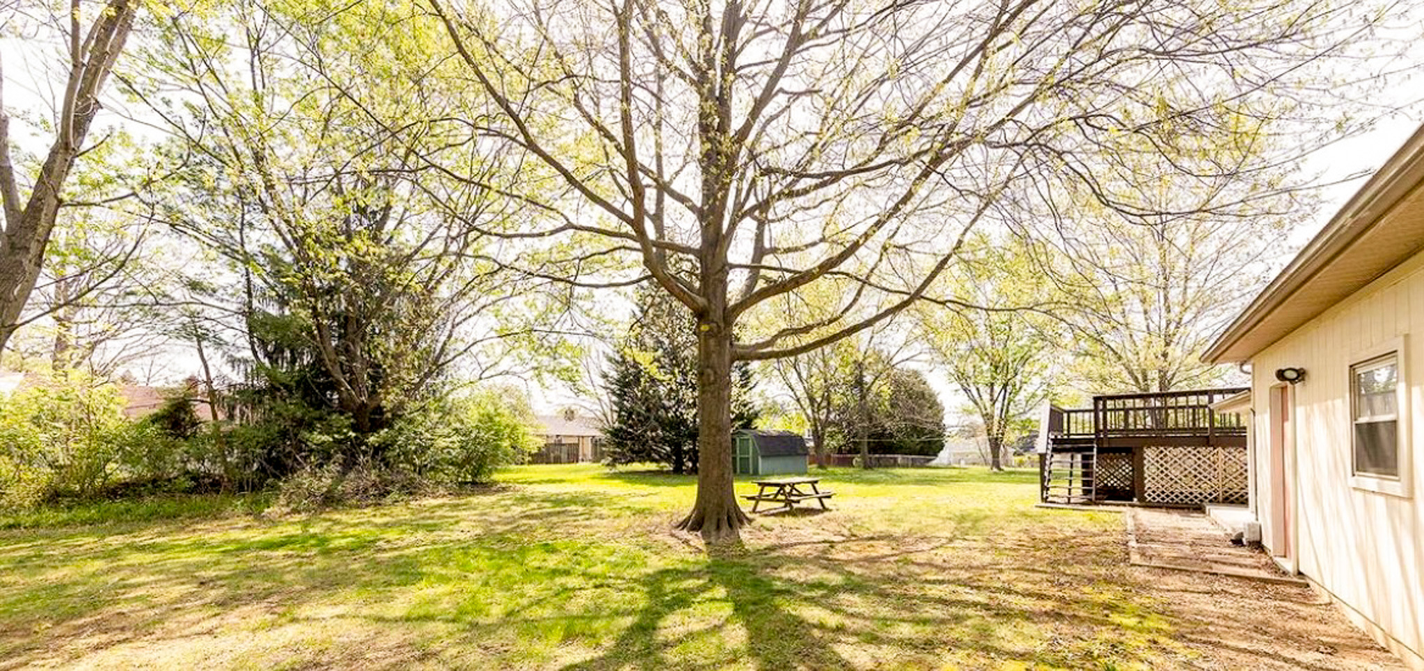 Spacious backyard with a large tree at the center, grassy lawn, small shed, and a raised deck attached to the home of Sponsored Residential Providers Daynesha and Karen Wilson in Stephens City, Virginia.