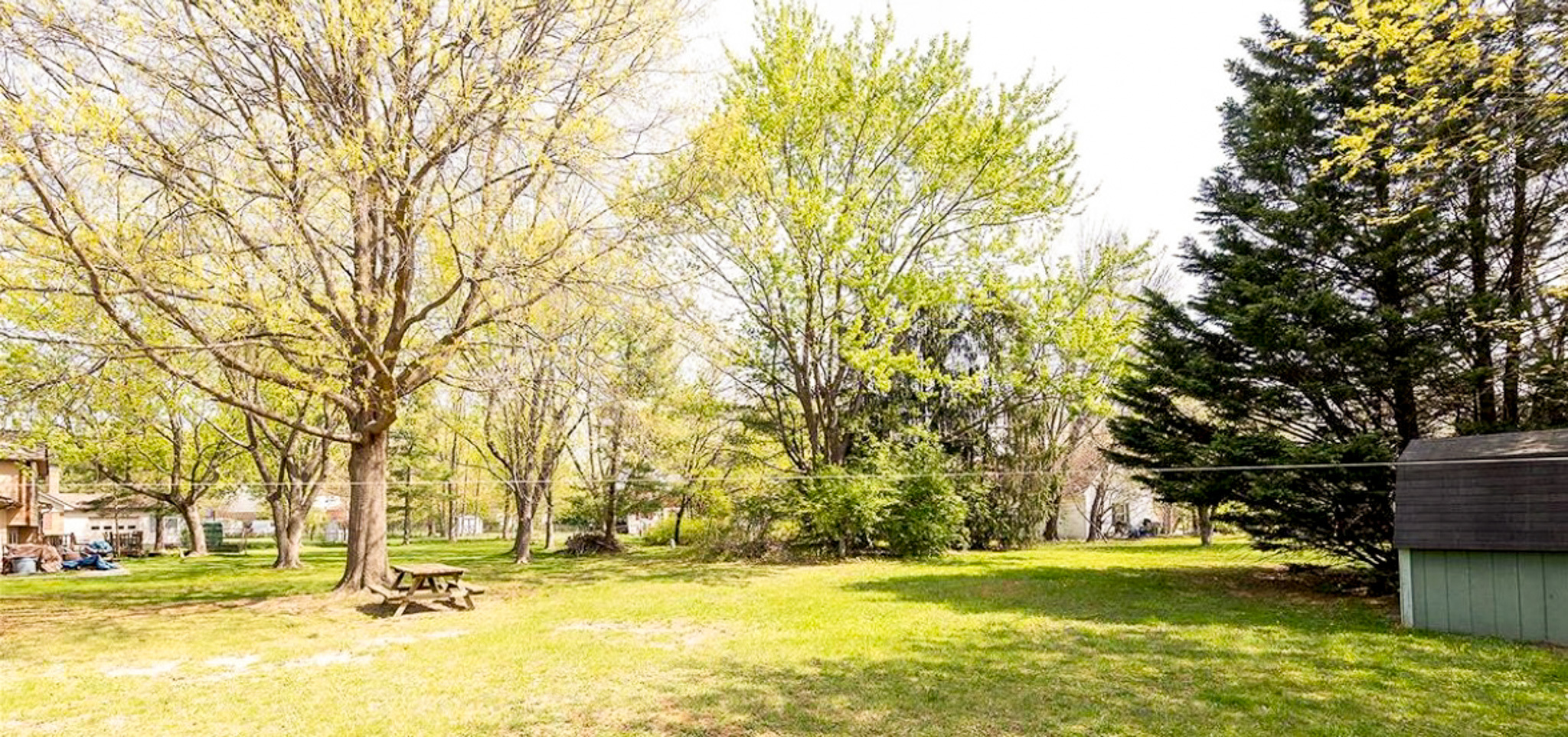 Large grassy backyard with mature trees, a picnic table, and a small shed along the right side outside the home of Sponsored Residential Providers Daynesha and Karen Wilson in Stephens City, Virginia.
