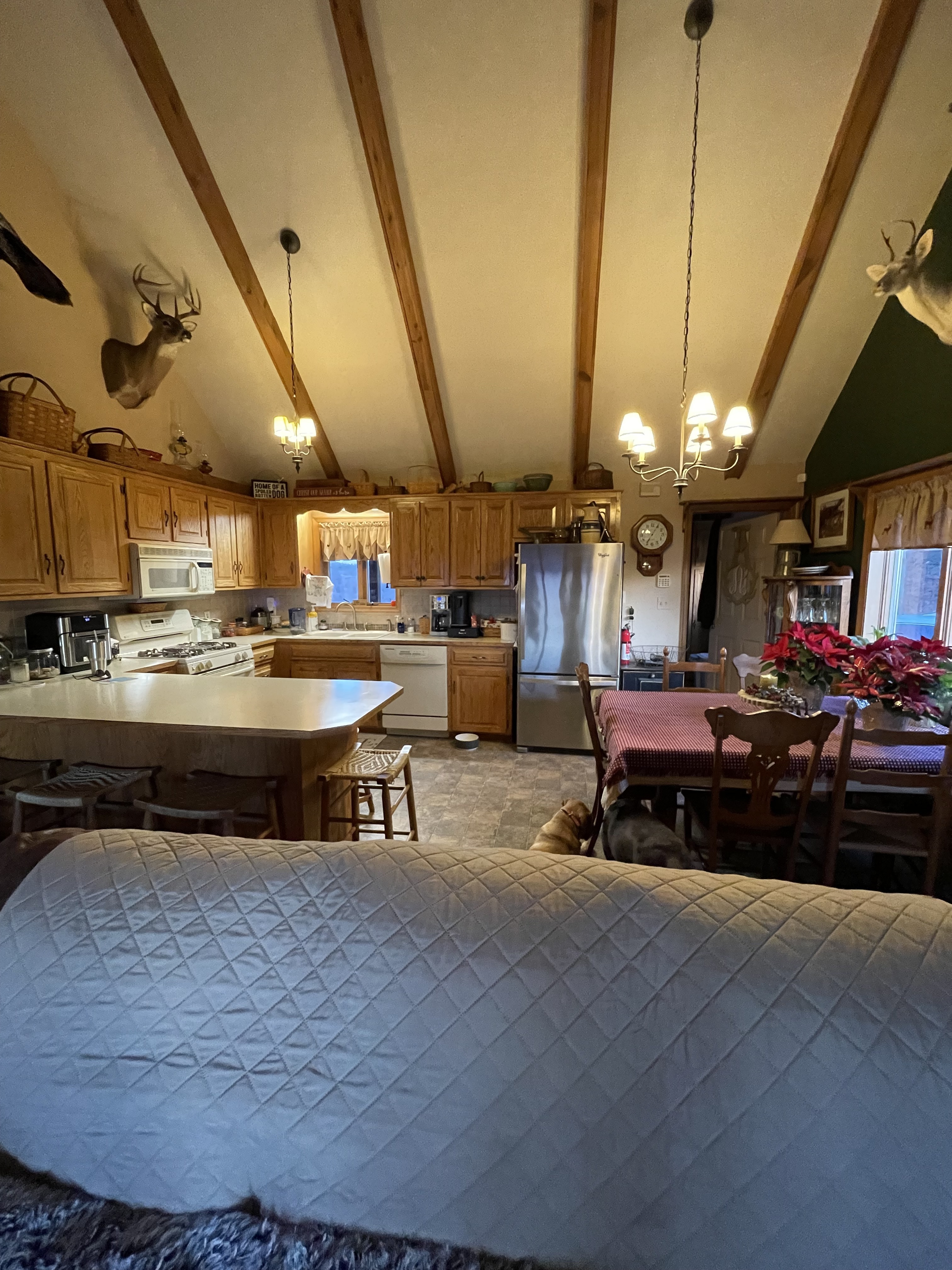 Open kitchen and dining area with wooden cabinets, vaulted ceiling with exposed beams, a chandelier over the table, and a sofa in the foreground  inside the home of Sponsored Residential Providers Jimmy and Nancy Ayers in Monroe, Virginia.