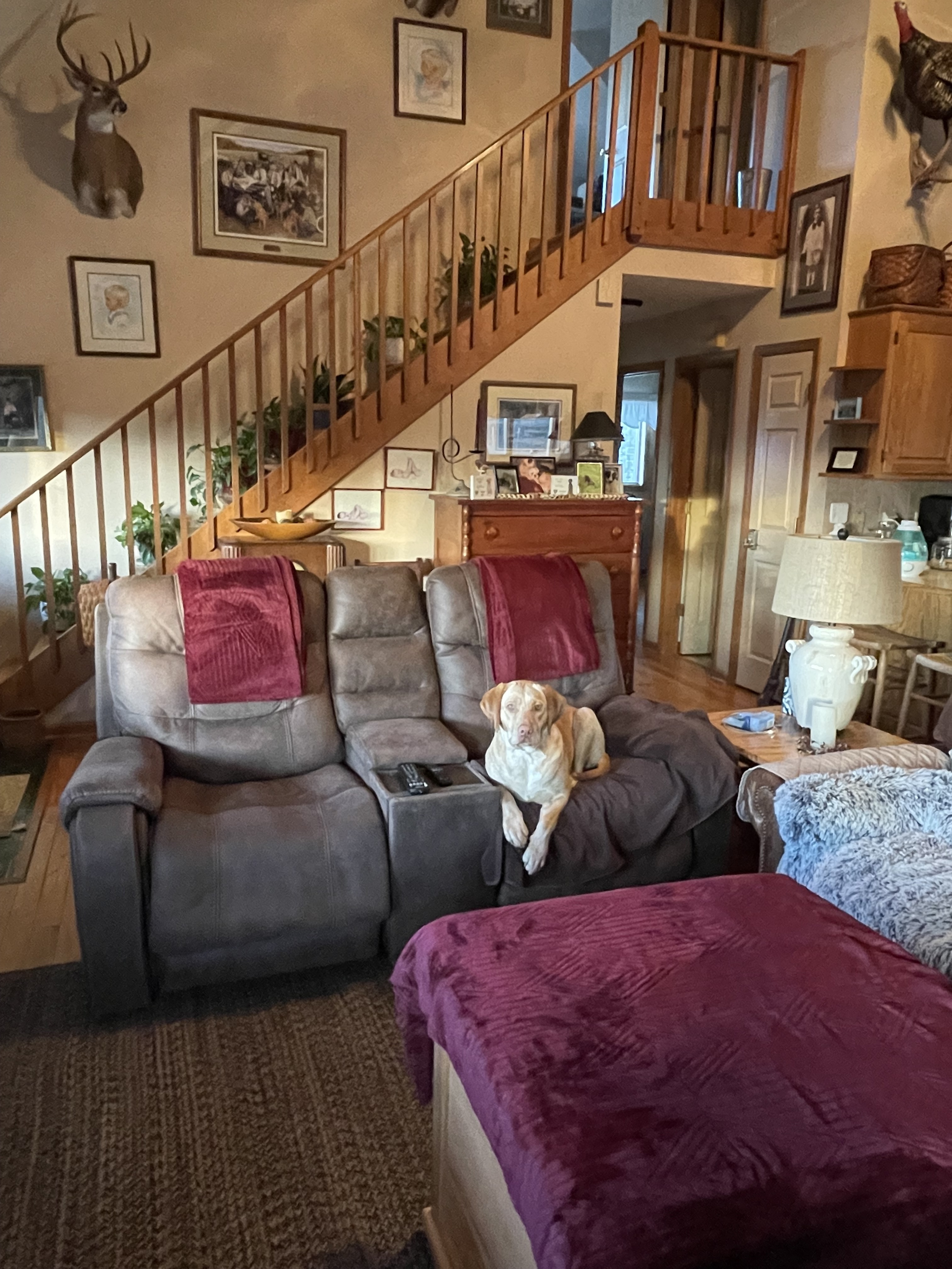 Cozy living room with a reclining sofa, red blankets, wood staircase with railing, wall art, and a dog sitting on the sofa  inside the home of Sponsored Residential Providers Jimmy and Nancy Ayers in Monroe, Virginia.