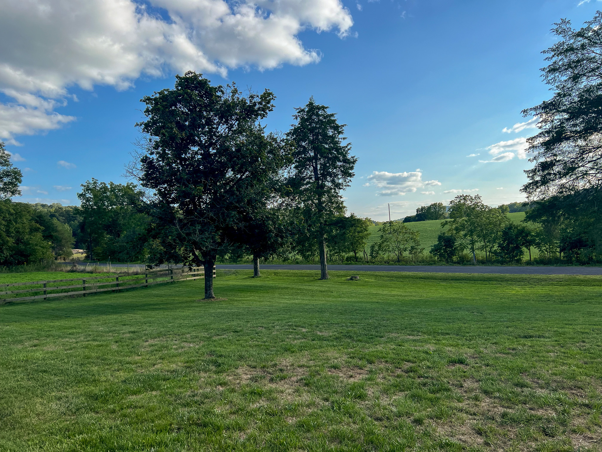 Open grassy yard with scattered trees under a blue sky with clouds at the home of Sponsored Residential Provider Rebecca Sherfey in Edinburg, Virginia.