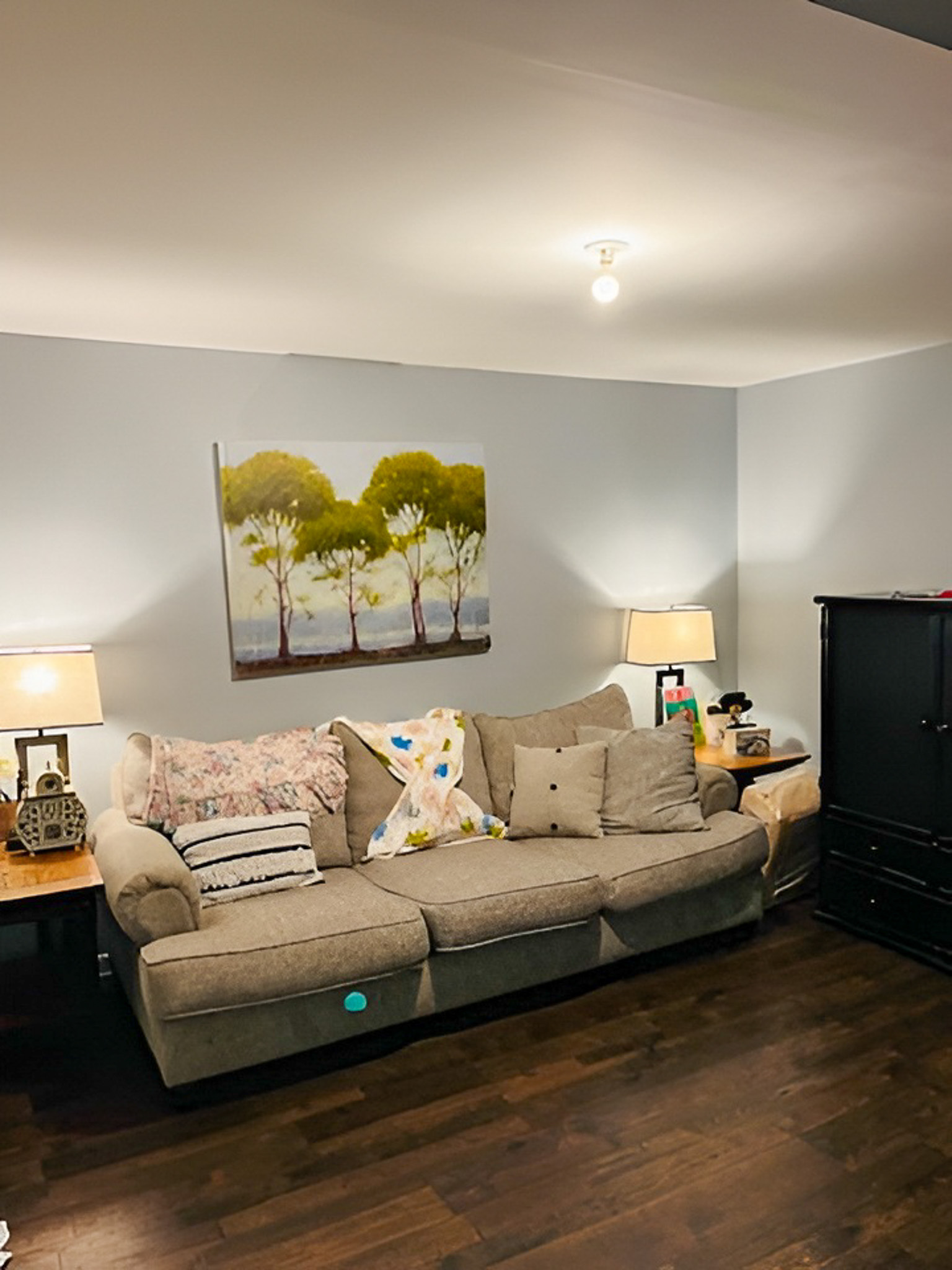 Sitting room with a beige sofa, side tables with lamps, wall art of trees, and dark wood flooring inside the home of Group Home Providers Alex and Dillon Tittle in Fredericksburg, Virginia.