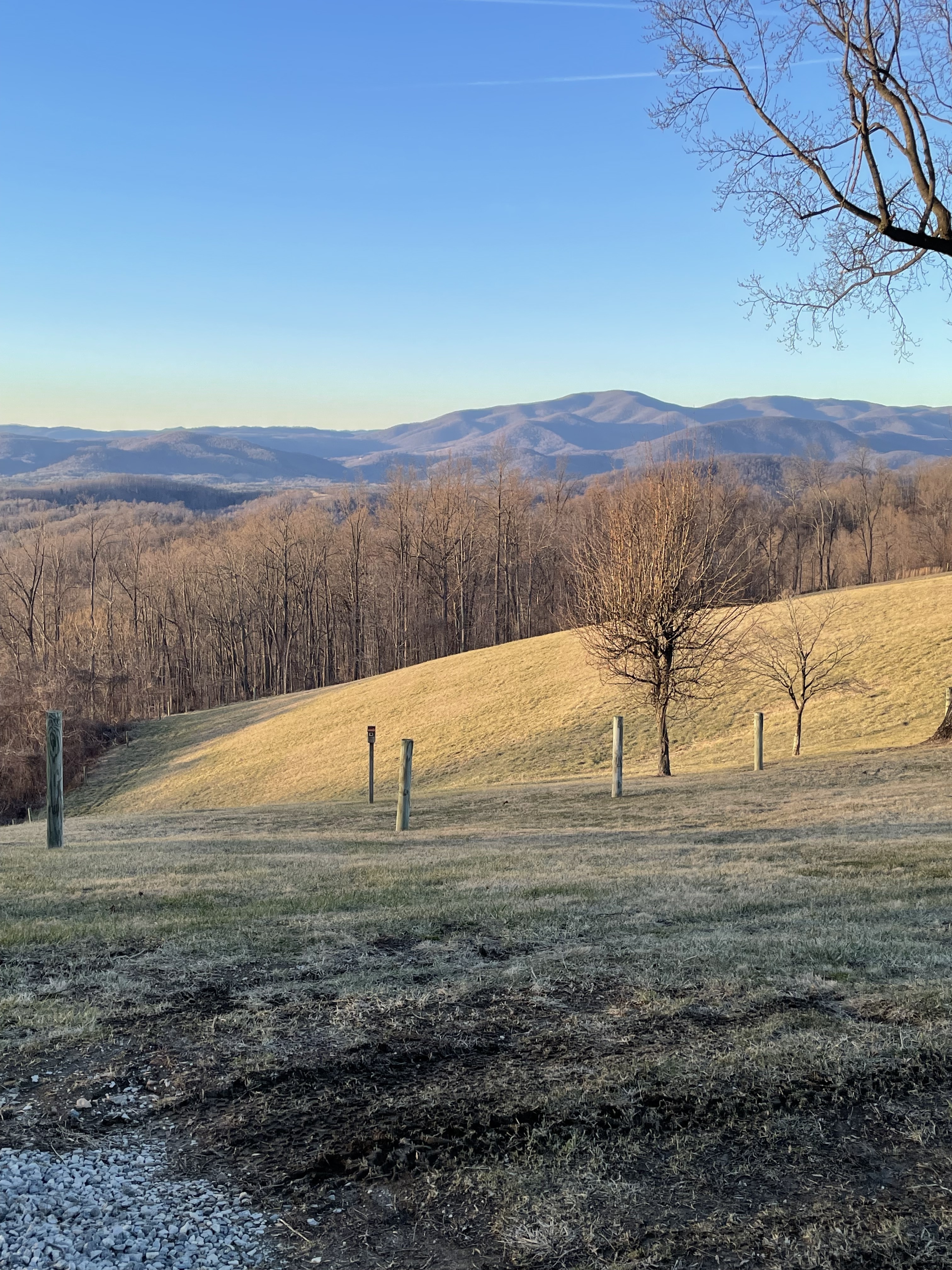 Rolling hills and frosted grass leading to a wooded area, with distant mountains under a clear blue sky at the home of Sponsored Residential Providers Jimmy and Nancy Ayers in Monroe, Virginia.