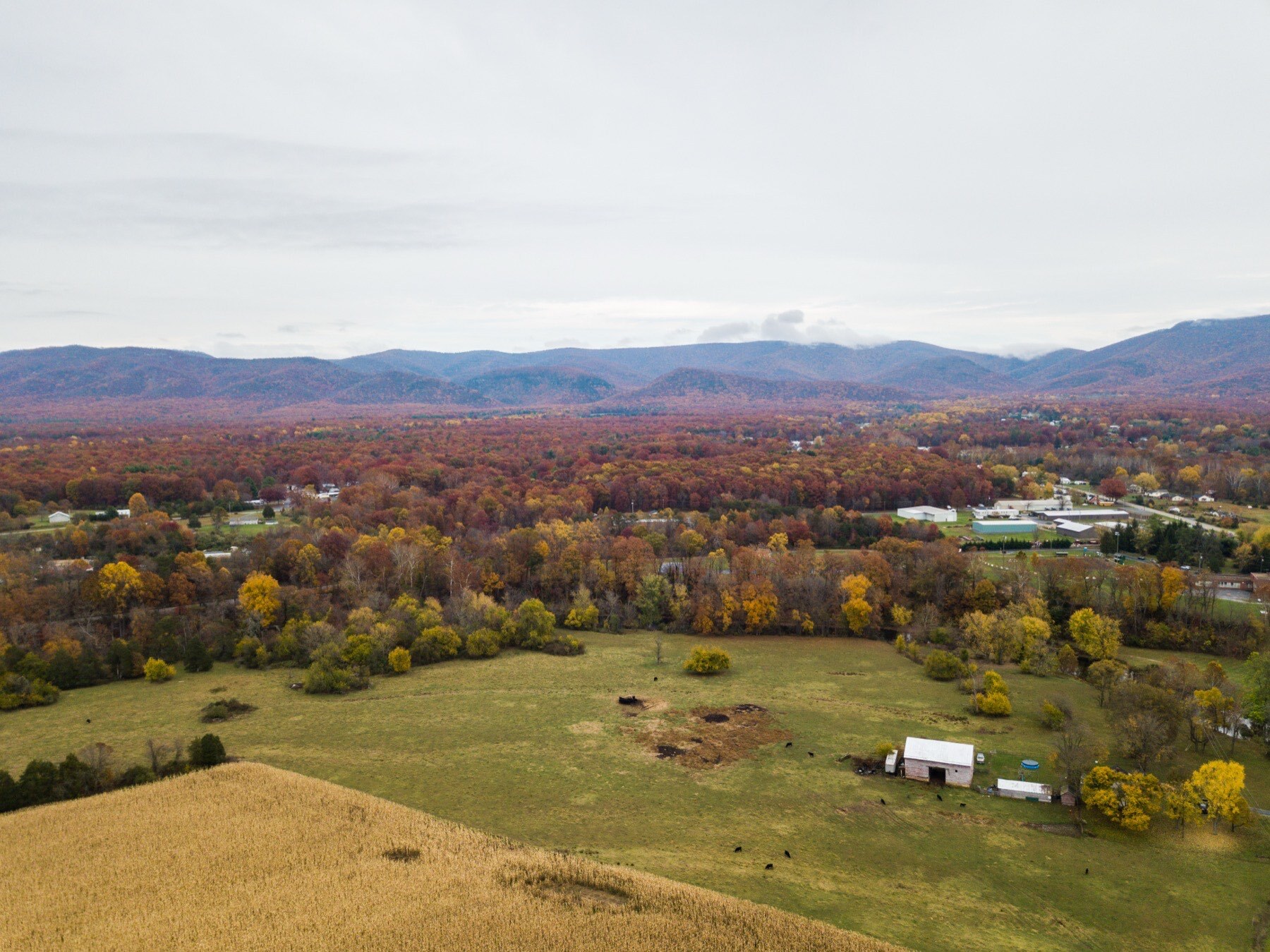 Winchester harrisonburg 2