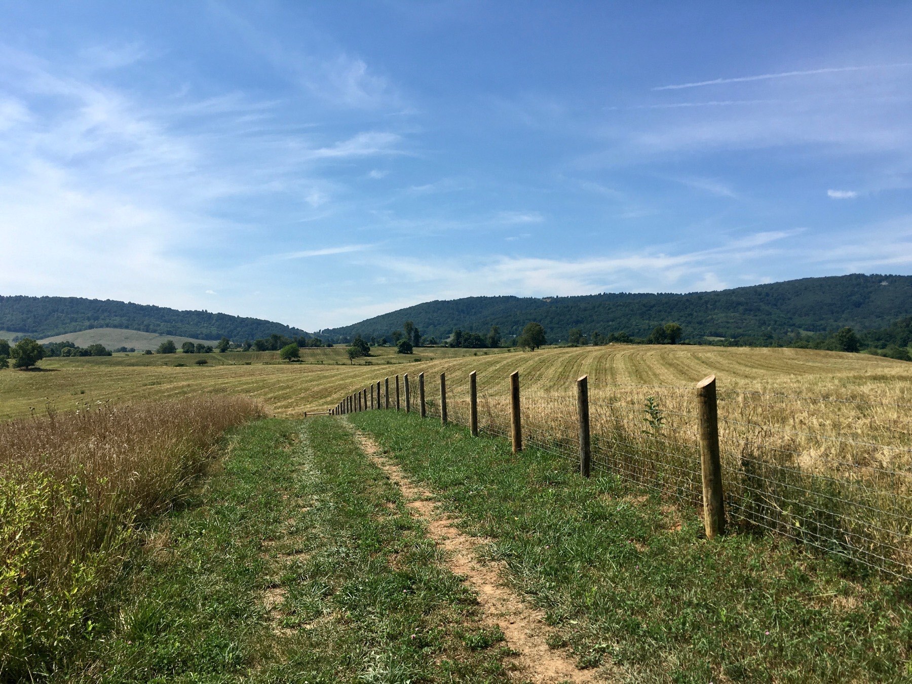 Winchester harrisonburg 5